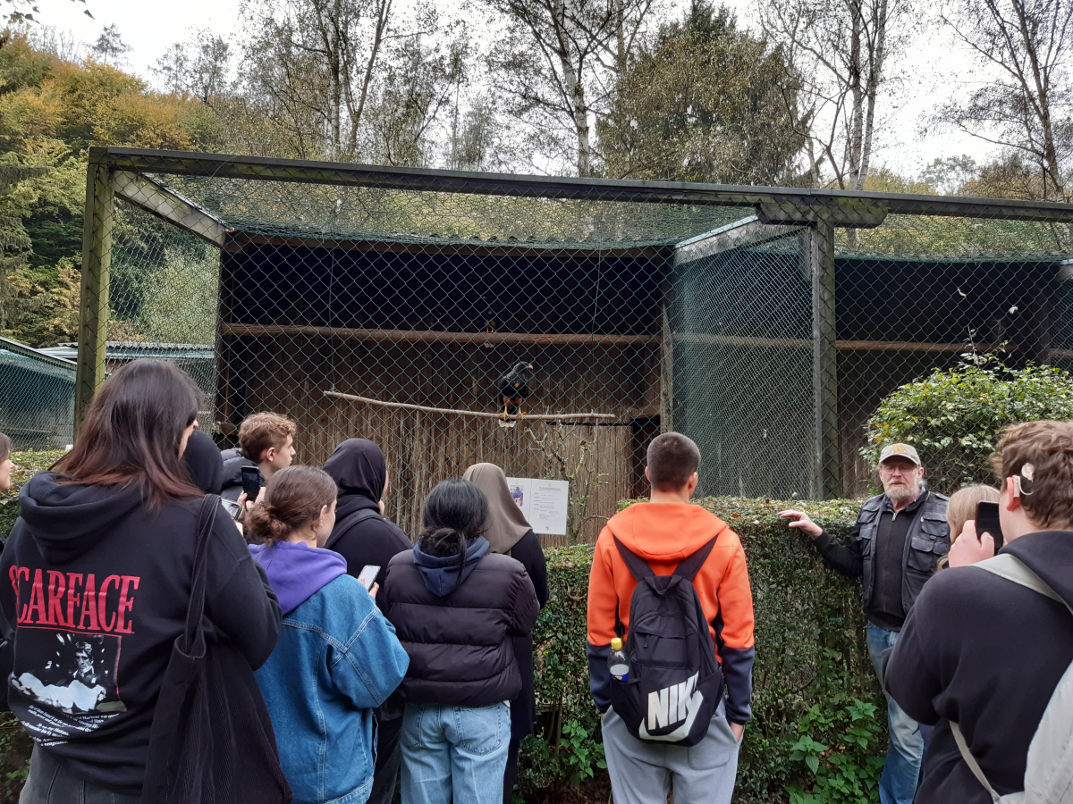 Fachkundige Erklärungen