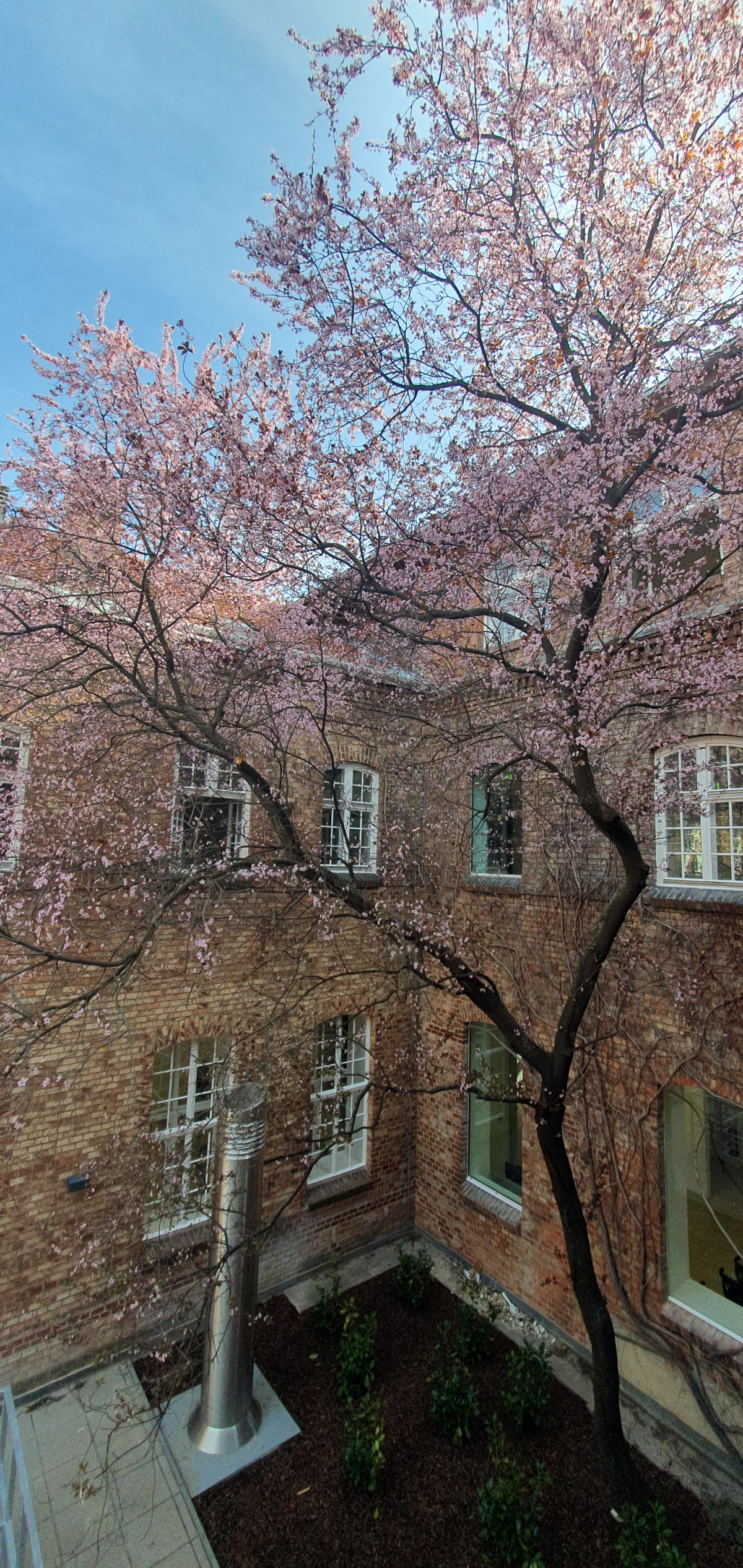 Frühlingsausblick im Wintergarten