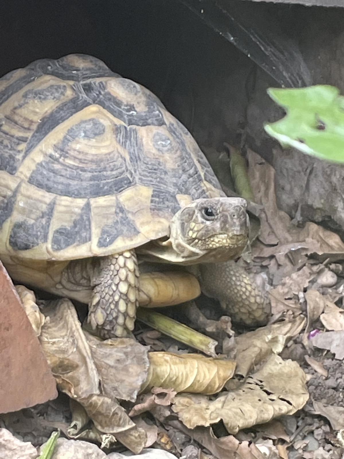 Tierische Entdeckung