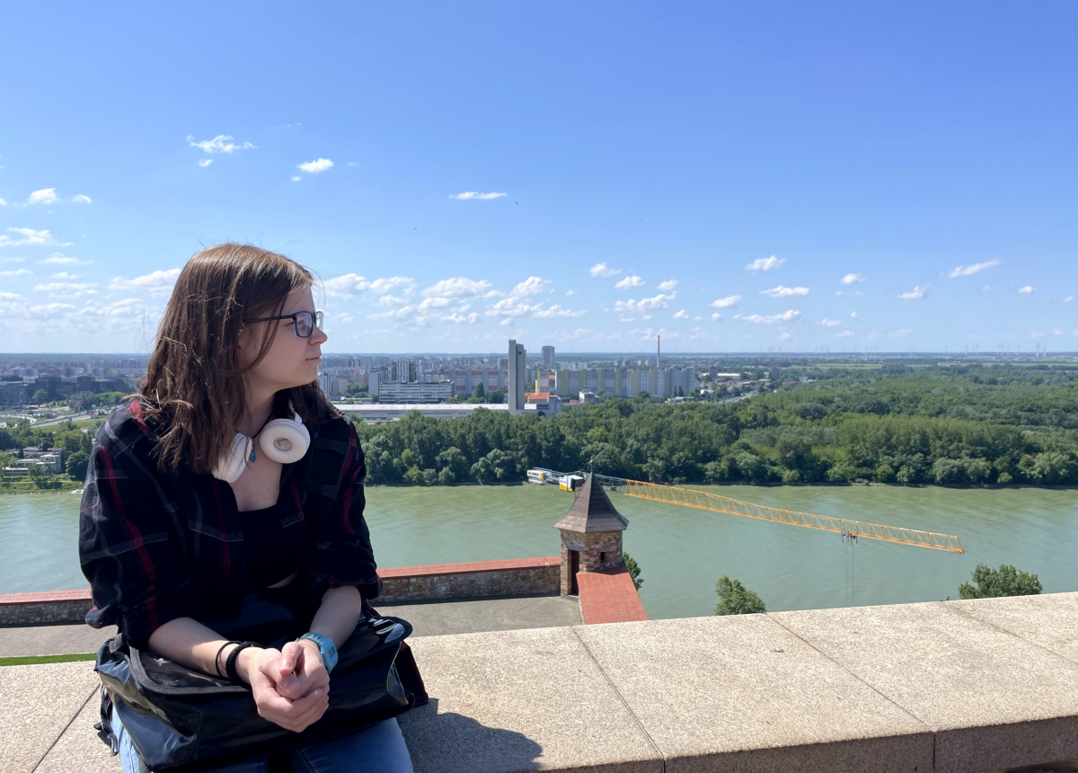 Fernblick von der Burg